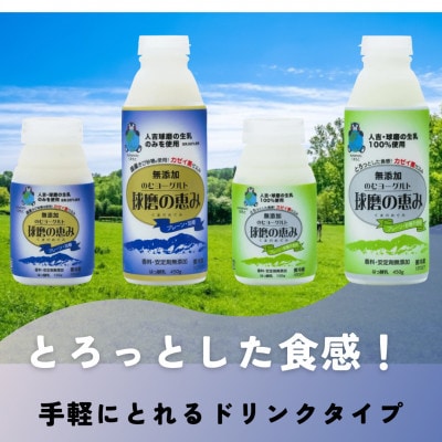 とろっとした食感!ほどよい甘さの球磨の恵みのむヨーグルト(加糖150g×10)(湯前町)