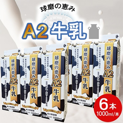 球磨の恵みA2牛乳 6本パック(湯前町)