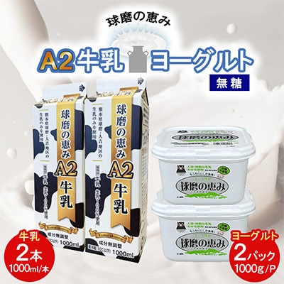 球磨の恵み「A2牛乳」と「球磨の恵みヨーグルト(砂糖不使用)」セット(湯前町)