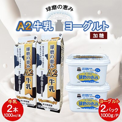 球磨の恵み「A2牛乳」と「球磨の恵みヨーグルト(加糖)」セット(湯前町)