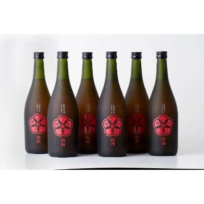 蔵八梅酒 6本セット (湯前町)