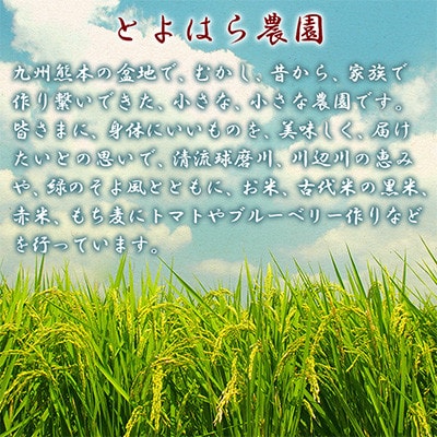 五穀米(黒×2、白×1)3袋セット