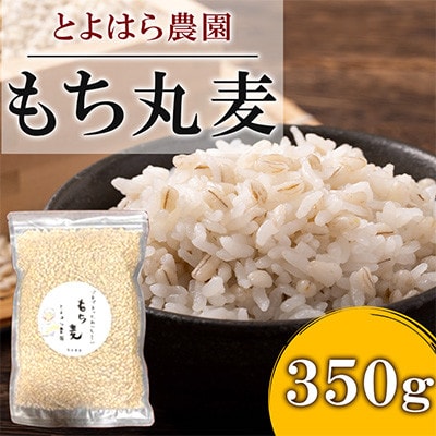 もち丸麦 350g