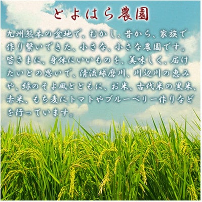 もち丸麦 350g