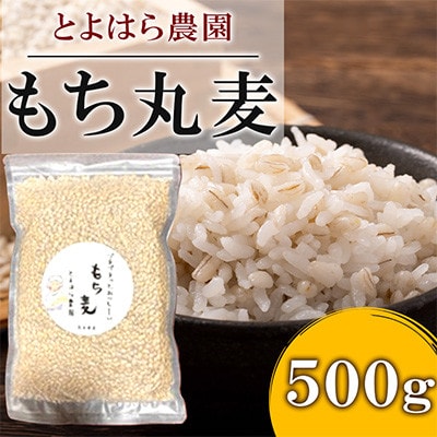 もち丸麦 500g
