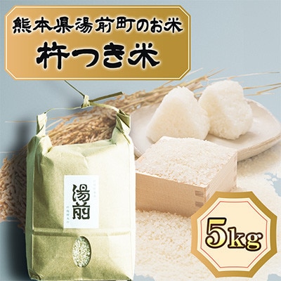 先行予約!令和8年産 湯前町のお米「杵つき米」くまさんの輝き5kg