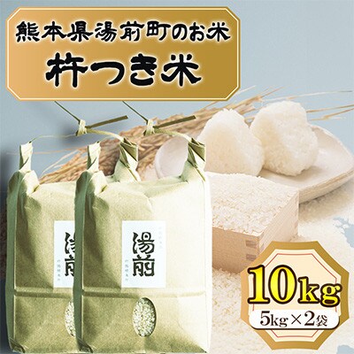 先行予約!令和8年産 湯前町のお米「杵つき米」くまさんの輝き10kg
