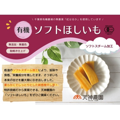 ソフトスチーム加工有機干し芋(100g12個セット)