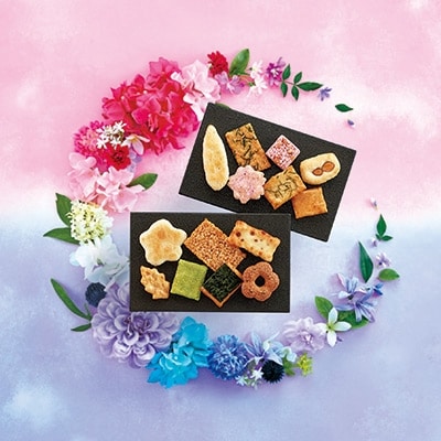 埼玉県上里町産　花色しおん　40袋