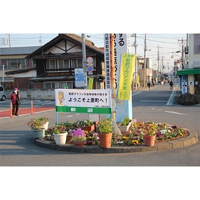 第29回上里町乾武マラソン大会【10kmの部】出走権利(1名様分)