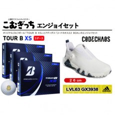 TOUR　B　XS　3ダースとシューズ　コードカオス22 BOAホワイト　26cm　エンジョイセット