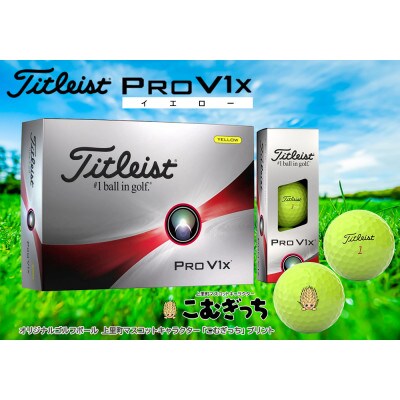 新品 タイトリスト PRO V1X イエロー 1ダース - その他