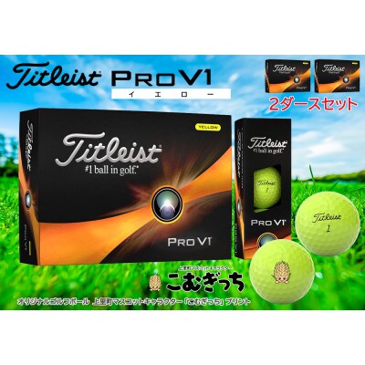 ゴルフボール titleist PROv1 イエロー　2ダース