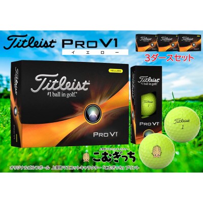 タイトリスト TITLEIST  PRO V1 プロV1 イエロー 2ダース