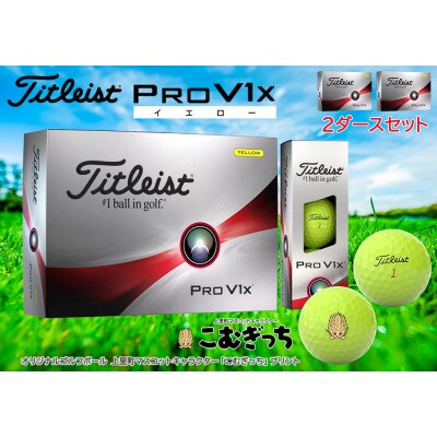 タイトリスト PRO V1X イエロー ゴルフボール ２ダースセット www