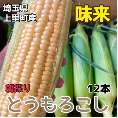 とうもろこし【味来】2L　12本　
