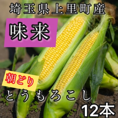 【先行受付2025年夏発送】とうもろこし　味来　2Lサイズ×12本　計5kg(梱包込み)