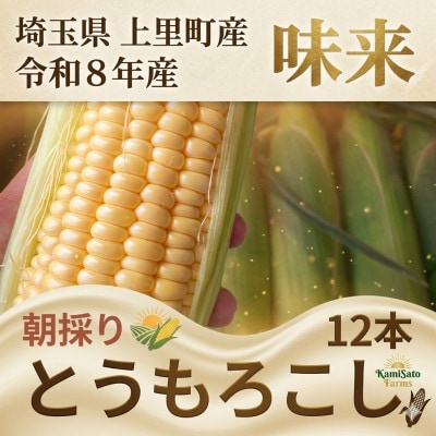 2026年先行予約　とうもろこし　味来　2Lサイズ×12本　計5kg(梱包込み)