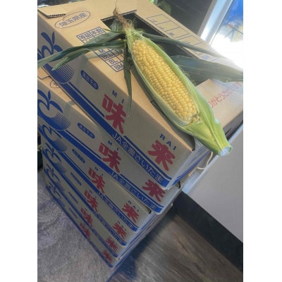【先行受付2025年夏発送】とうもろこし　味来　2Lサイズ×12本　計5kg(梱包込み)