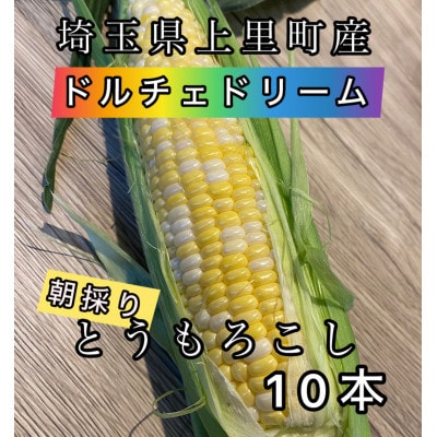 【先行受付2025年夏発送】上里町産とうもろこし　ドルチェドリーム2L×10本　計5kg(梱包込み)