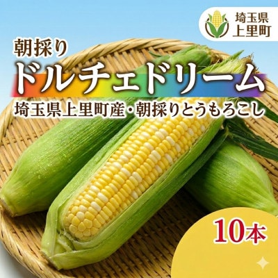 【先行受付2026年夏発送】上里町産とうもろこし　ドルチェドリーム2L×10本　計5kg(梱包込み)