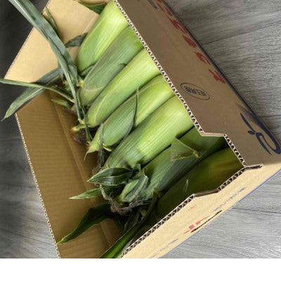 【先行受付2026年夏発送】上里町産とうもろこし　ドルチェドリーム2L×10本　計5kg(梱包込み)