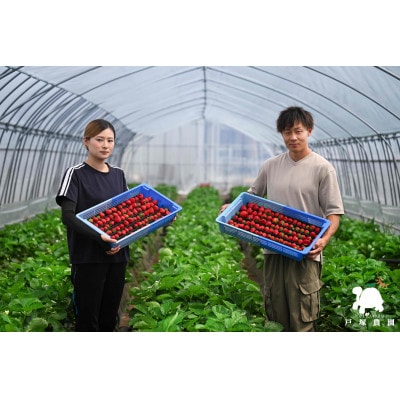 埼玉県限定品種あまりん 約500g