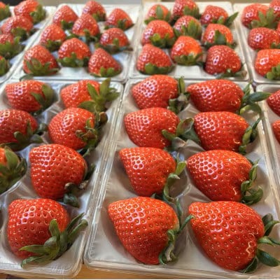 【先行受付】埼玉県限定品種あまりん(250g×4パック)約1000g