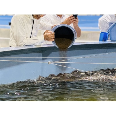 平沼水産うなぎ養殖場プレミアム体験コース