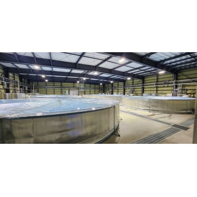 【発送月固定定期便】上里育ちの「侍うなぎ」蒲焼き 150g×5尾全6回