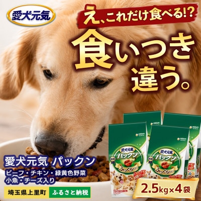 愛犬元気 パックン ビーフ チキン 緑黄色野菜 小魚 チーズ入り 2.5kg×4袋 ドッグフード