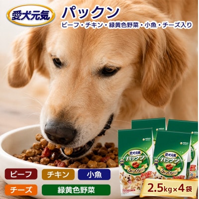 愛犬元気 パックン ビーフ チキン 緑黄色野菜 小魚 チーズ入り 2.5kg×4袋 ドッグフード