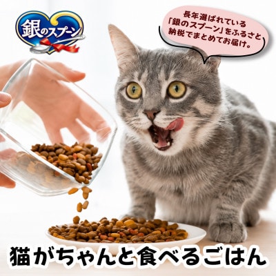 銀のスプーン 贅沢うまみ仕立て まぐろ・かつお・煮干し・白身魚・しらす入り 1.3kg×6袋