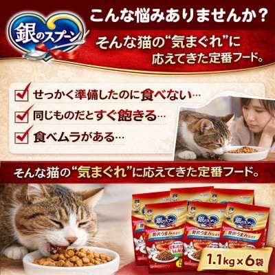 銀のスプーン 贅沢うまみ仕立て 食事の吐き戻し軽減フード ささみ・緑黄色野菜入り 1.1kg×6袋