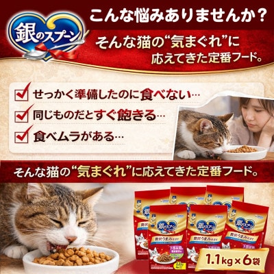 銀のスプーン 贅沢うまみ仕立て 下部尿路の健康維持用 1歳～10歳頃まで 1.1kg×6袋