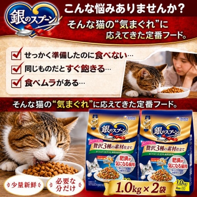 ユニ・チャーム 銀のスプーン 贅沢3種の素材仕立て 肥満が気になる猫用 1.0kg×2袋