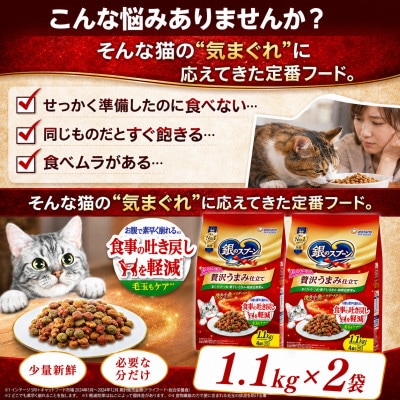 銀のスプーン 贅沢うまみ仕立て 食事の吐き戻し軽減フード ささみ・緑黄色野菜入り 1.1kg×2袋