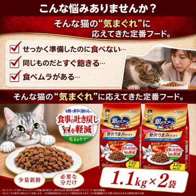 銀のスプーン 贅沢うまみ仕立て 食事の吐き戻し軽減フード 白身魚・しらす入り 1.1kg×2袋
