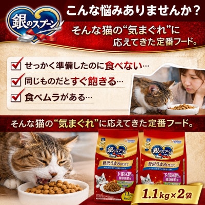 銀のスプーン 贅沢うまみ仕立て 下部尿路の健康維持用 1歳～10歳頃まで 1.1kg×2袋