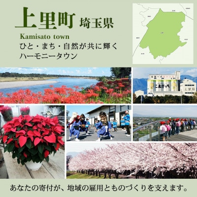 銀のスプーン 贅沢3種の素材仕立て 毛玉ケア まぐろ・かつお・白身魚味 1.0kg×2袋