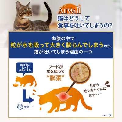 ユニ・チャーム AllWell 室内猫用 キャットフード チキン味 1.6kg×2袋