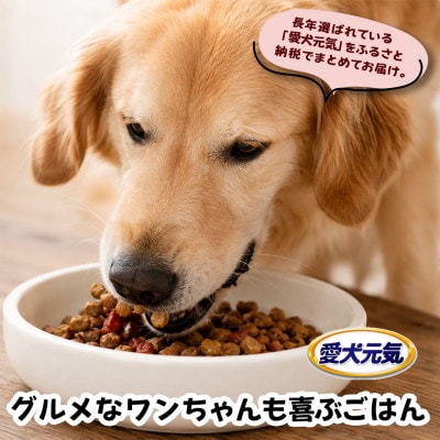 愛犬元気 パックン ビーフ・チキン・緑黄色野菜・小魚・チーズ入り 2.5kg×2袋 ドッグフード
