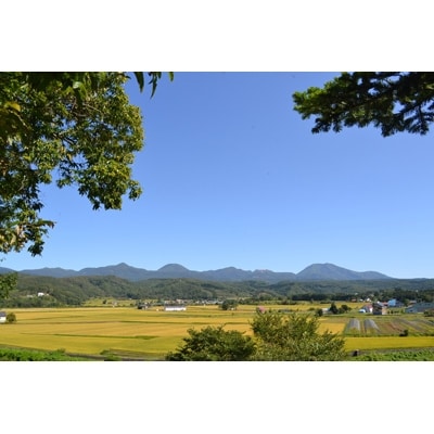 【令和4年産】らんこし米 ≪JGAP認証≫ 坂野農場のななつぼし 5kg