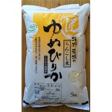 【令和4年産】らんこし米 ≪JGAP認証≫ 坂野農場のゆめぴりか 5kg