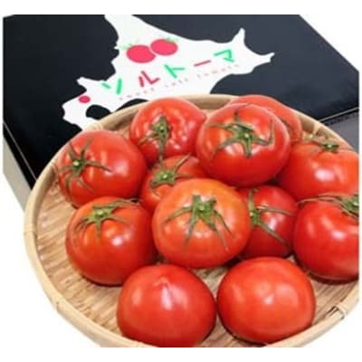 高糖度トマト ソルトーマ約1kg【かわさきファーム】