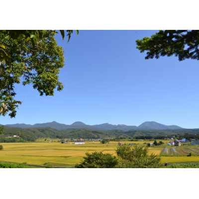 らんこし米食べくらべセット (ななつぼし・ゆめぴりか各5kg) 計10kg <令和4年産>