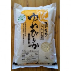 令和4年産】らんこし米 ≪JGAP認証≫ 坂野農場のななつぼし 2kg | お