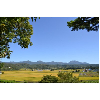 令和6年産 らんこし米 ななつぼし 5kg