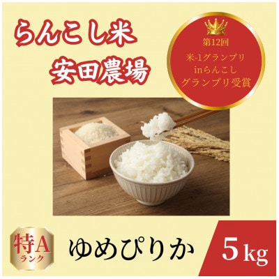 令和7年産らんこし米 特別栽培米 安田農場 ゆめぴりか 精米5kg