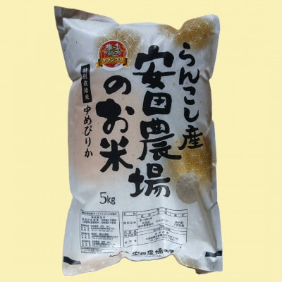 令和7年産らんこし米 特別栽培米 安田農場 ゆめぴりか 精米5kg